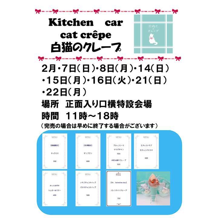 店 ビッグ ウッド 小山