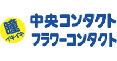 中央コンタクト