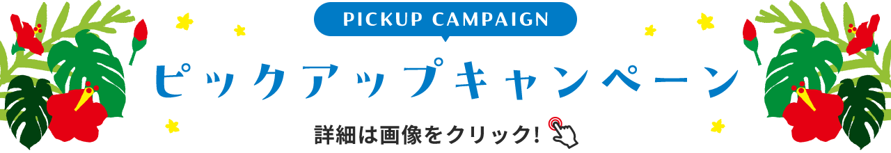 PICKUP CAMPAIGIN ピックアップキャンペーン 詳細は画像をクリック