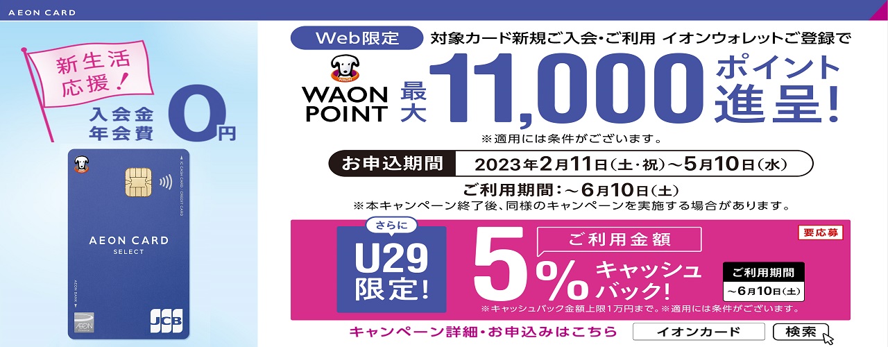 WEB限定 対象カード新規ご入会・ご利用 イオンウォレットご登録でWAONPOINT 最大11,000ポイント進呈!