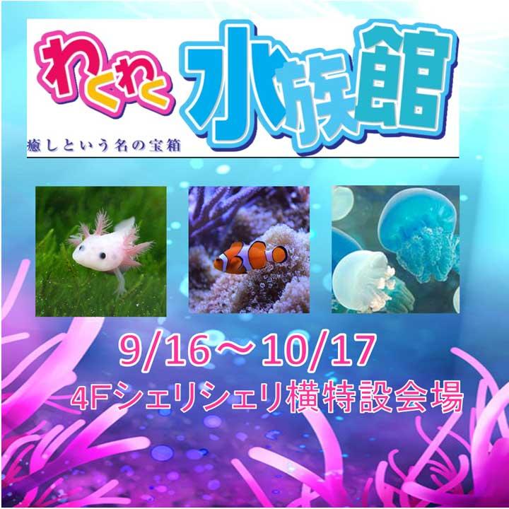 わくわく水族館 イベントニュース イオンモール高の原 公式ホームページ