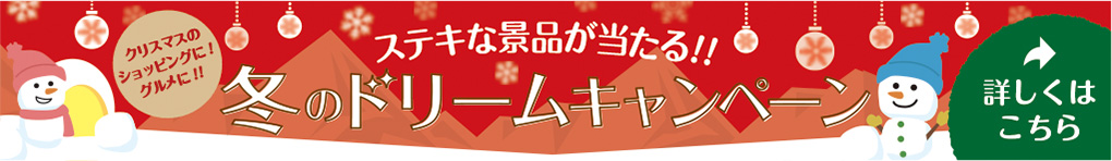 冬のドリームキャンペーン