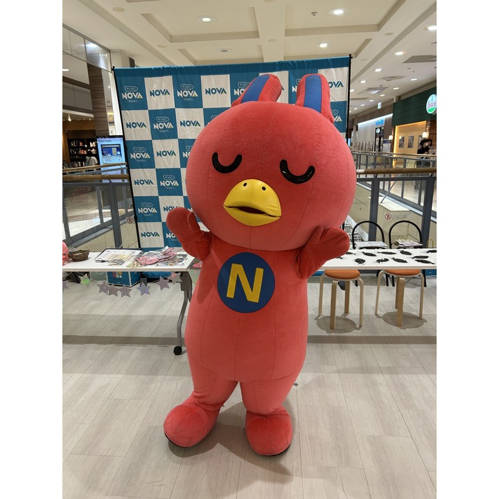 ☆ハロウィンイベント開催！NOVAうさぎも登場します！☆ - NOVA