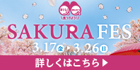 SAKURAFES