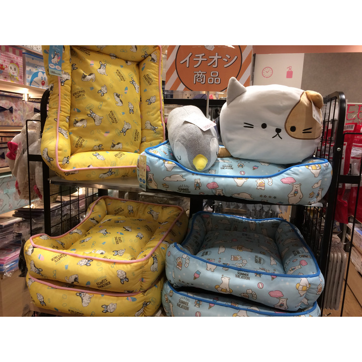 冷感接触ペットベッド Threeppy キャンペーン イオンモール与野 公式ホームページ